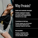 David Protein Bar - Sold Individually