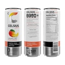 Celsius - Mango Lemonade
