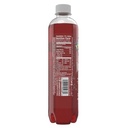 Sparkling Ice Fruit Punch Beverage - 17 Oz - 1 Pack - Bottle