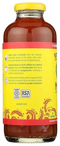 GUAYAKI Organic Strawberry Hibiscus Yerba Mate, 16 FZ
