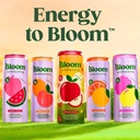 Bloom Sparkling Energy, Crisp Apple, 12 Fl. Oz., 12 Pk. LIMITED TIME!!!