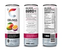 Celsius - Mango Passion Fruit