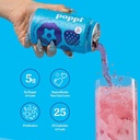 2-Pack Poppi Wild Berry 12 Fl Oz Can