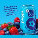2-Pack Poppi Wild Berry 12 Fl Oz Can