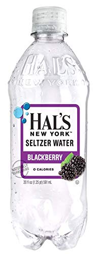 Hal's - Seltzer - New York - 20 Oz