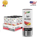 Celsius - Sparkling - Watermelon Lemonade - 12 Oz - Can - 12 Pk